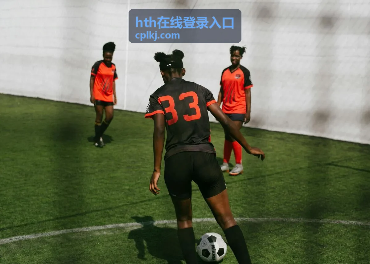 hth在线登录入口渠道案例二